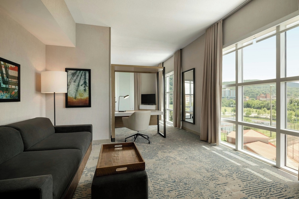 SpringHill Suites by Marriott Roanoke - photo 40