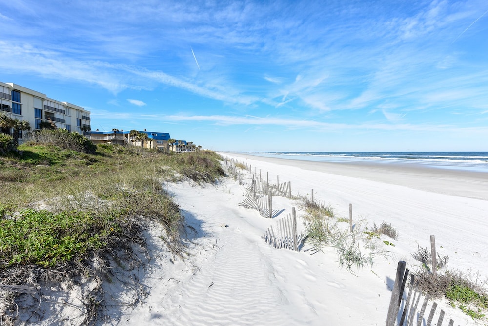 Sand Dollar I 504 - photo 42