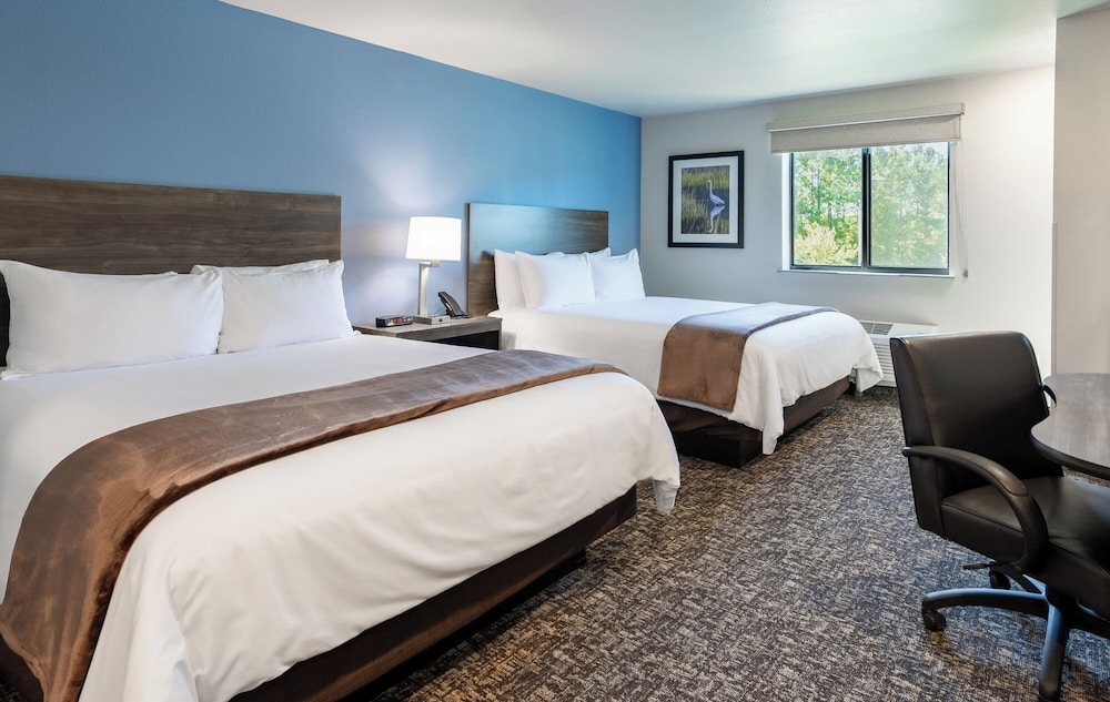 My Place Hotel Jacksonville Camp Lejeune NC - photo 6
