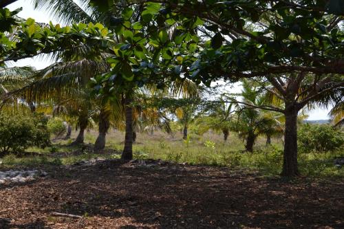 Austral Hotel — Farafangana — photo 2