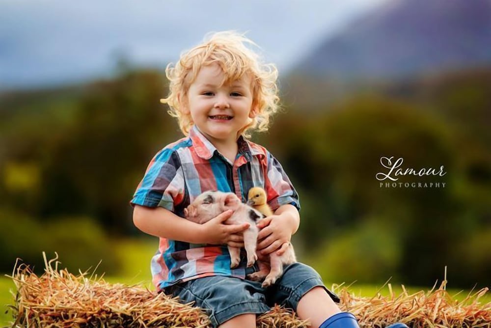 Blackwattle Farm B&B and Farm Stay — 4-Star Luxury Hotel in Peachester, Australia