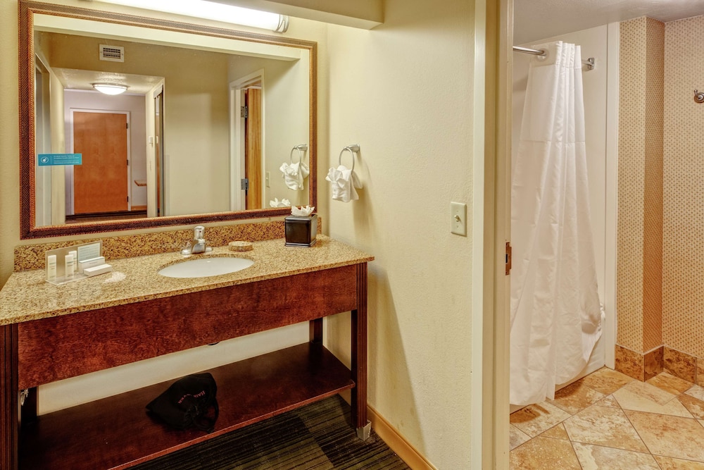 Hampton Inn & Suites Pigeon Forge On The Pkwy - photo 24