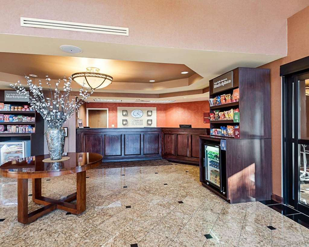Comfort Suites Dulles Airport - photo 4