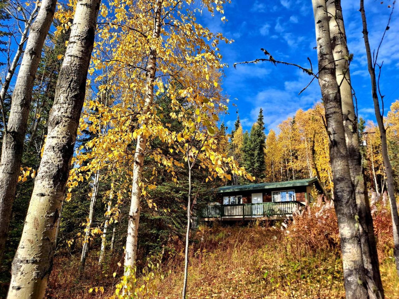 Northwoods Cottage Bed and Breakfast — 4-Star Luxury Hotel in Fairbanks, United States