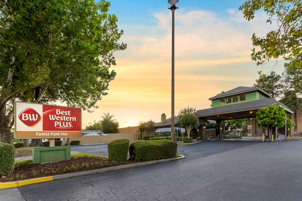 Best Western Plus Forest Park Inn - featured photo