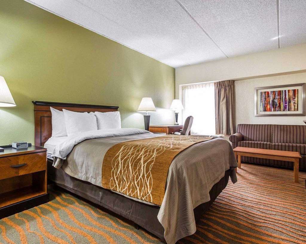 Comfort Inn Conyers - photo 7