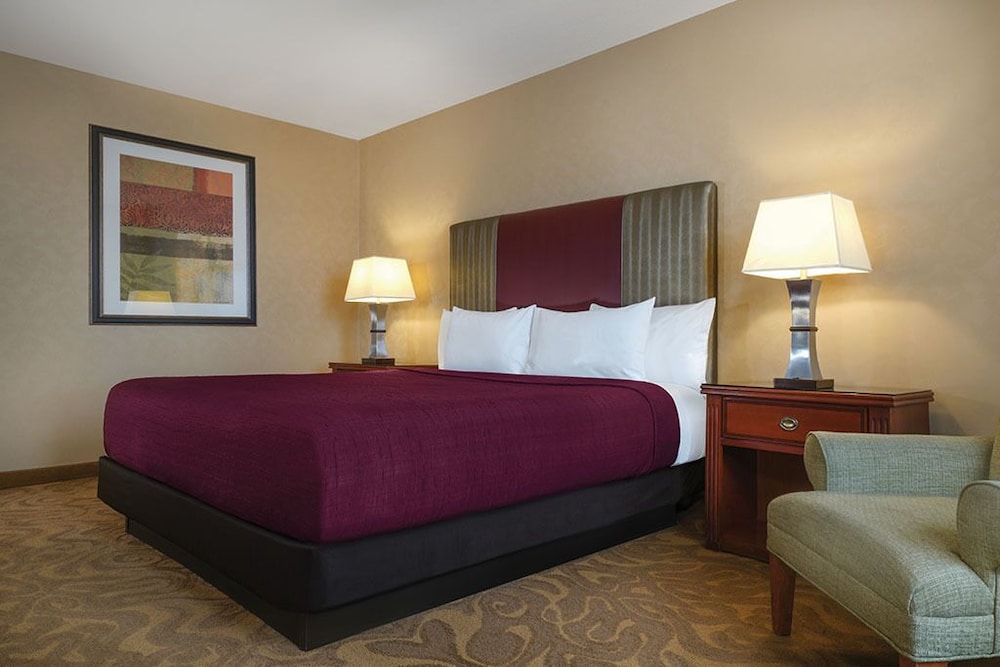 Circus Circus Hotel Casino & Theme Park - photo 20