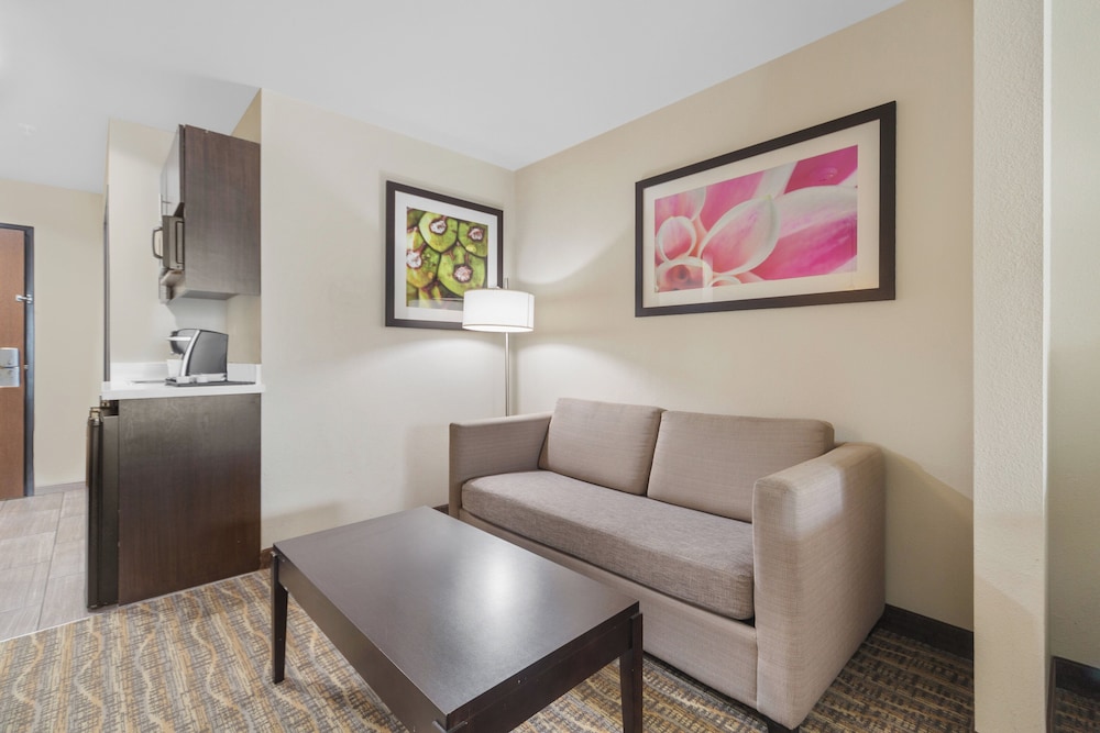 Holiday Inn Express & Suites Houston NW Tomball Area by IHG - photo 25