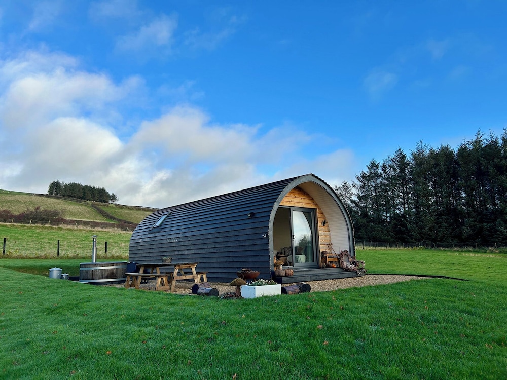 Willow — Llanidloes