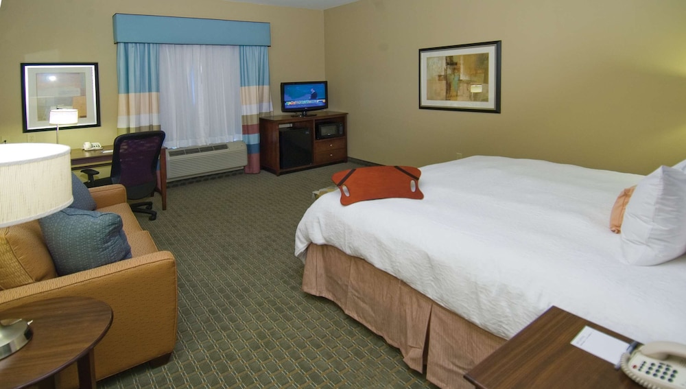 Hampton Inn & Suites Baton Rouge Port Allen - photo 18