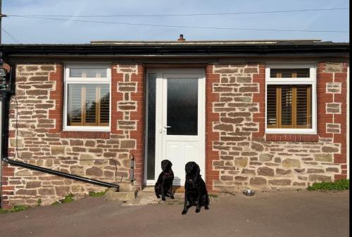 The Netherend Inn Pet Friendly Haven — hotel in Lydney