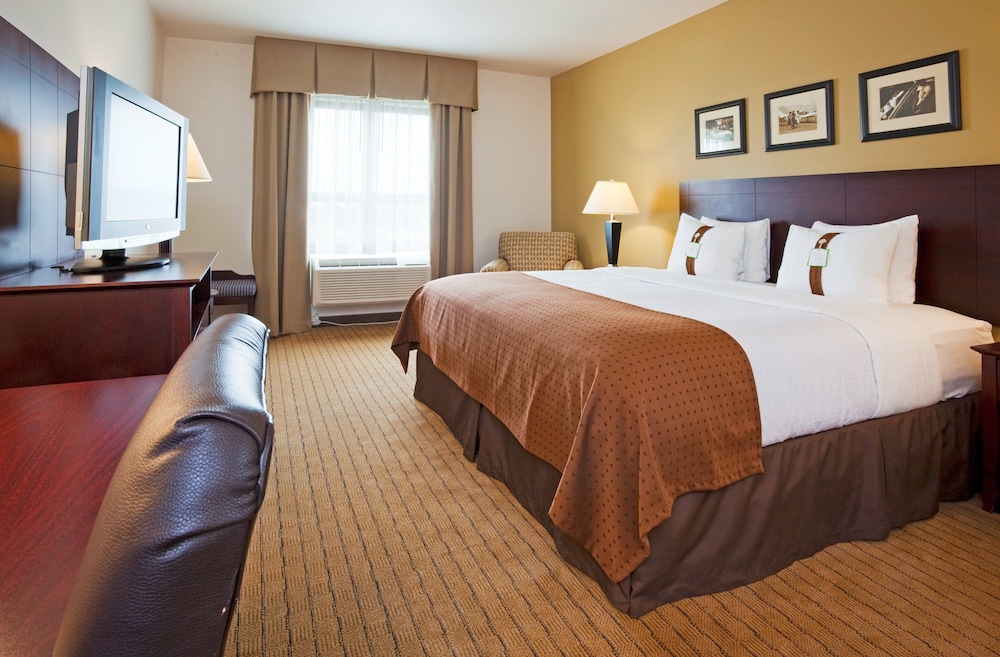 Holiday Inn Madison at The American Center by IHG - photo 7