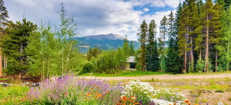 Chateau of Breckenridge - photo 49