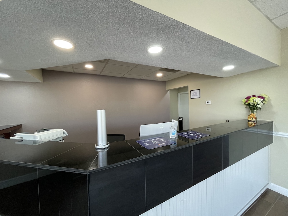 Dreamland Inn - photo 3