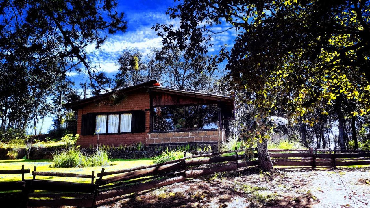 Cabaña en medio del bosque ZA — hotel in Acaxochitlan