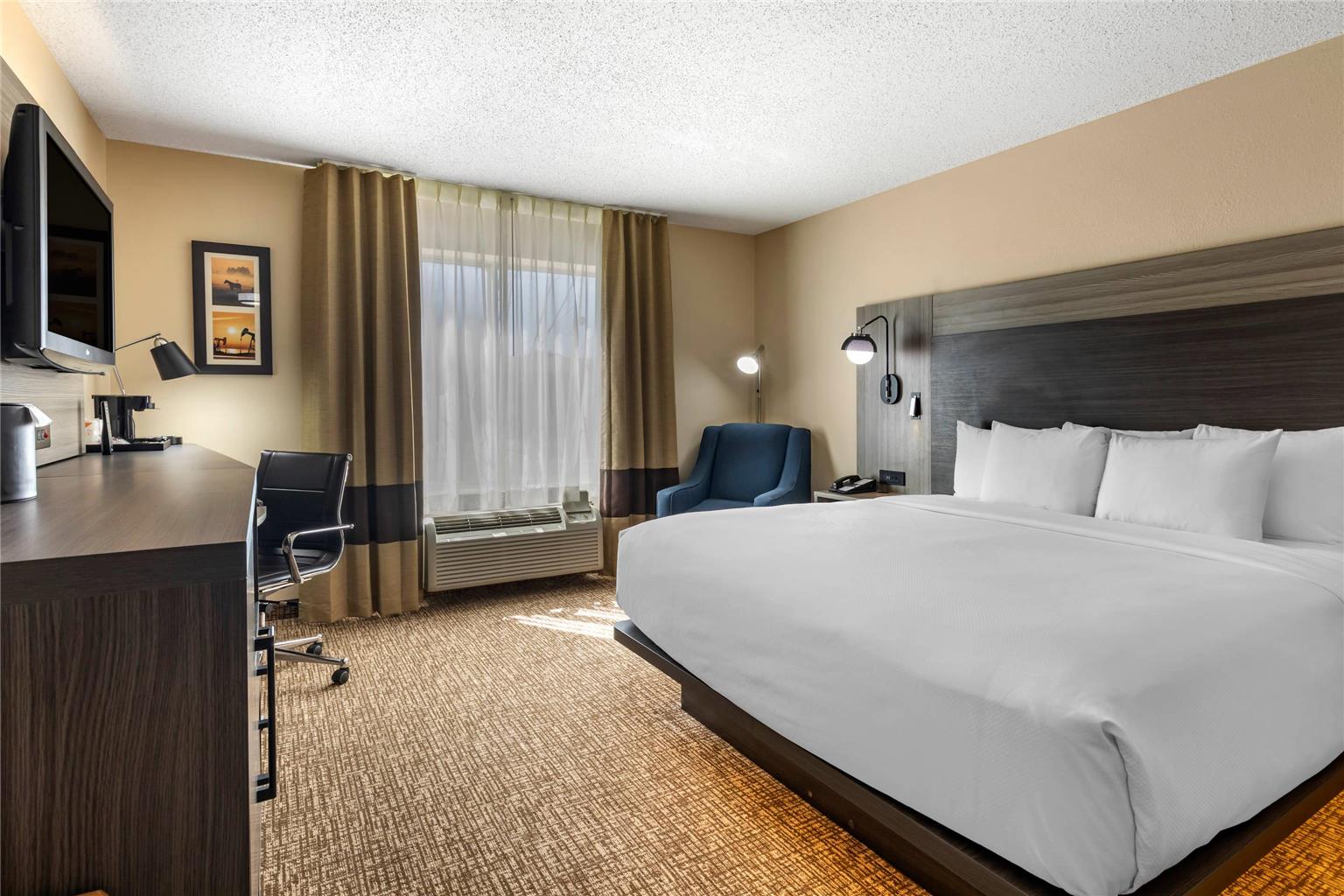 Comfort Inn & Suites North Dallas Addison - photo 13
