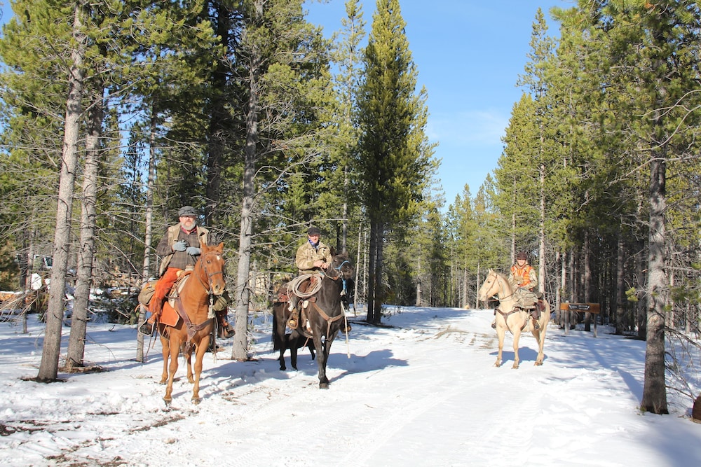 Sugar Loaf Lodge & Cabins - photo 33