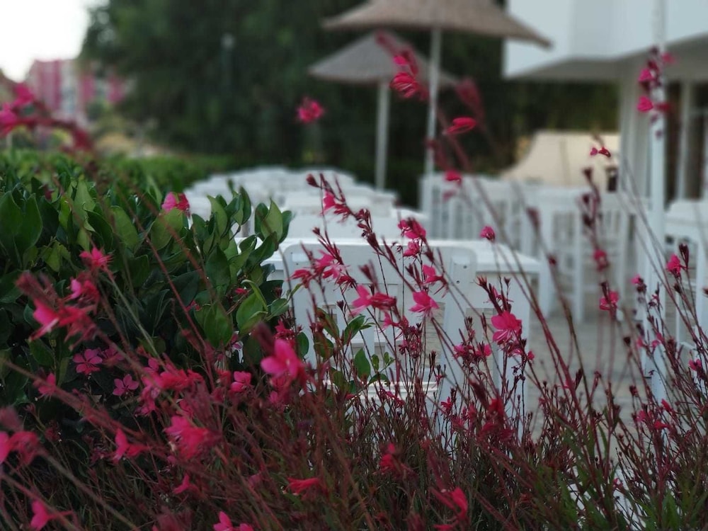 Cicek Apart Hotel - last minute hotel in Cesme