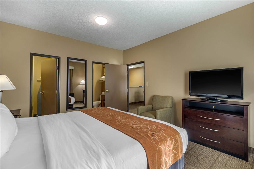 Comfort Suites The Colony Plano West - photo 31