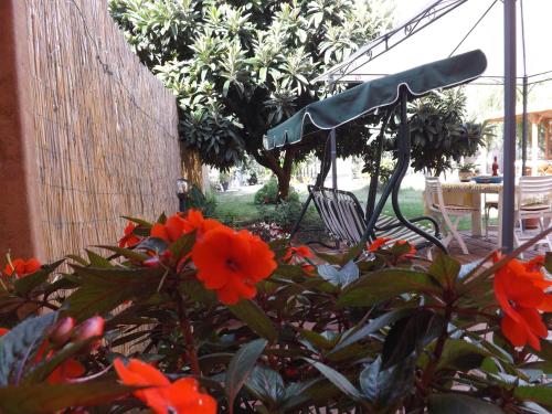 Il Noce Alghero — 4-Star Luxury Hotel in Alghero, Italy