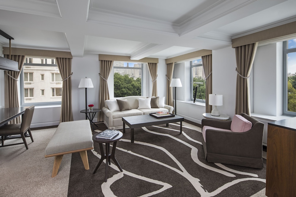 The Ritz Carlton New York Central Park - photo 41