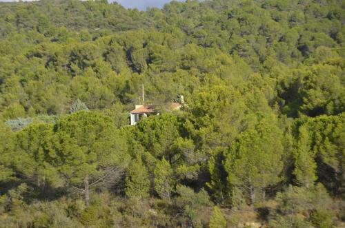 La petite Cigale - last minute hotel in Unknown City