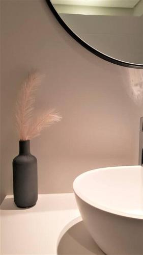 Lovely 1 Bedroom De Waterkant Apt with parking and WiFi