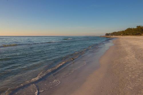 Gulf Place 7B - photo 31