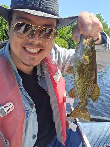 Escale du loup in Unknown City, Canada