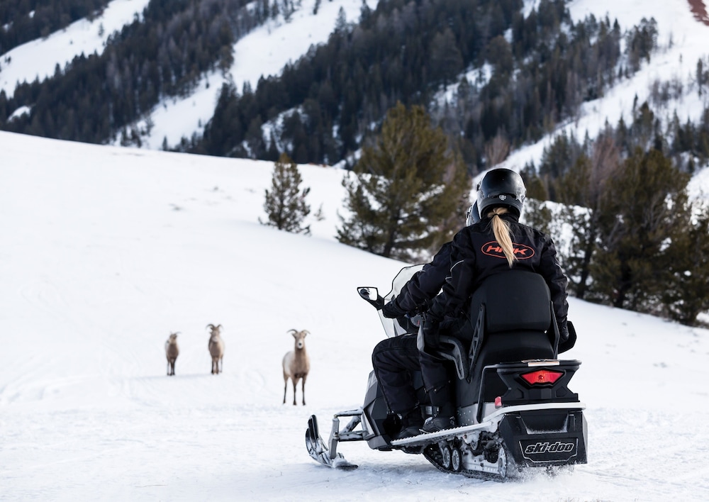 Four Seasons Resort Jackson Hole - photo 229