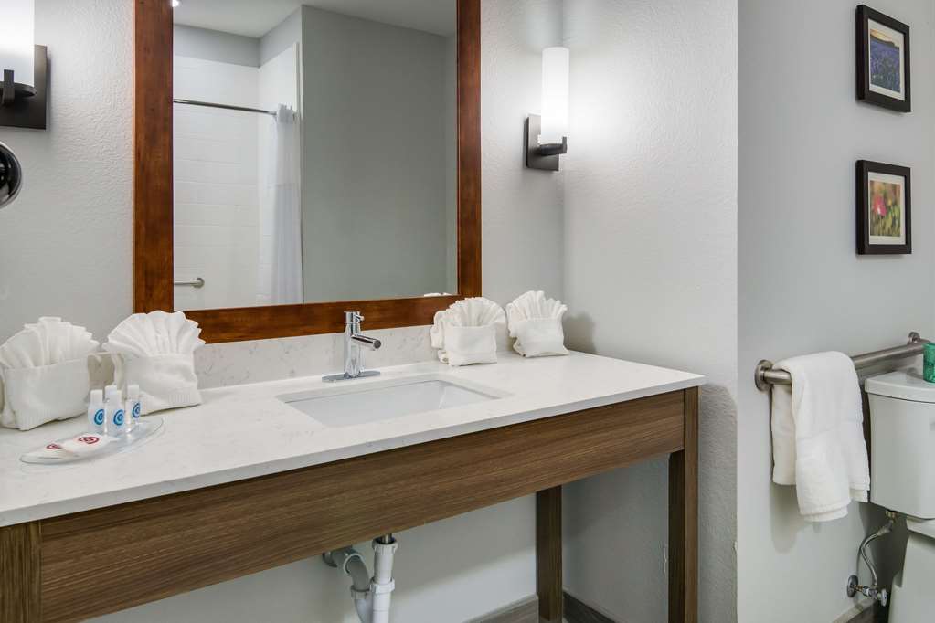 Comfort Suites DeSoto Dallas South - photo 25
