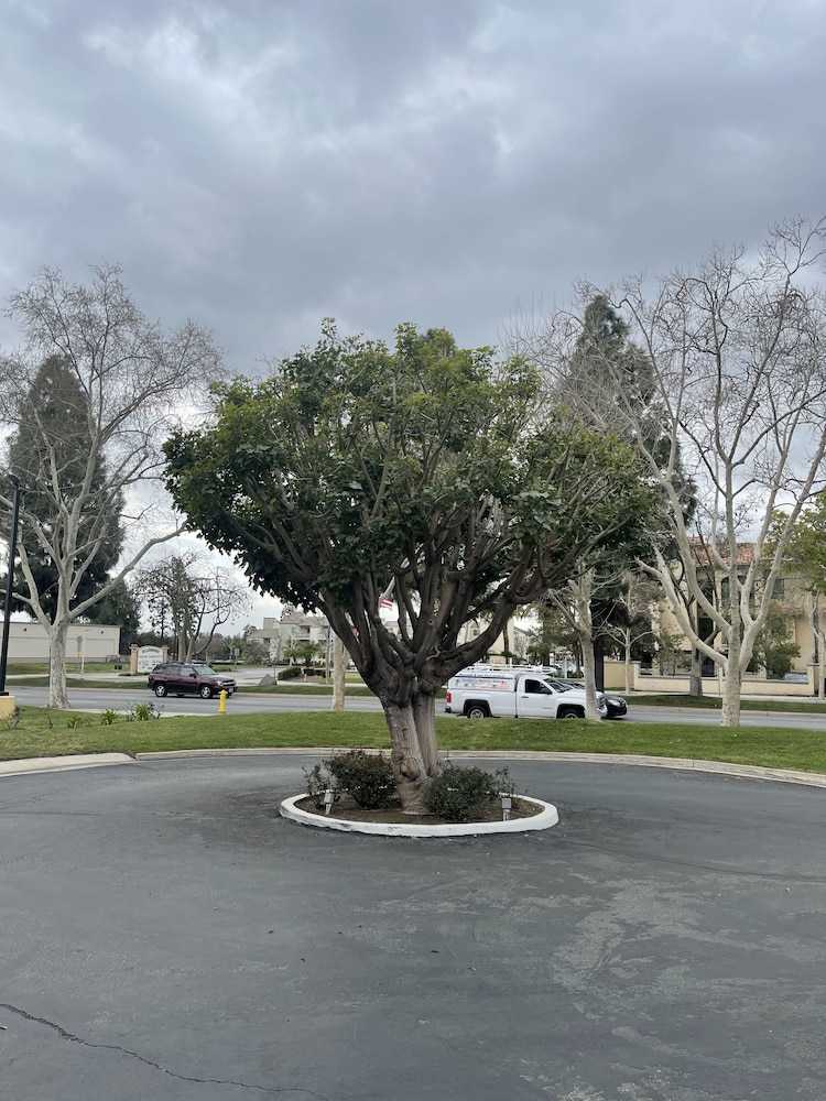Chino Motel — hotel in Chino
