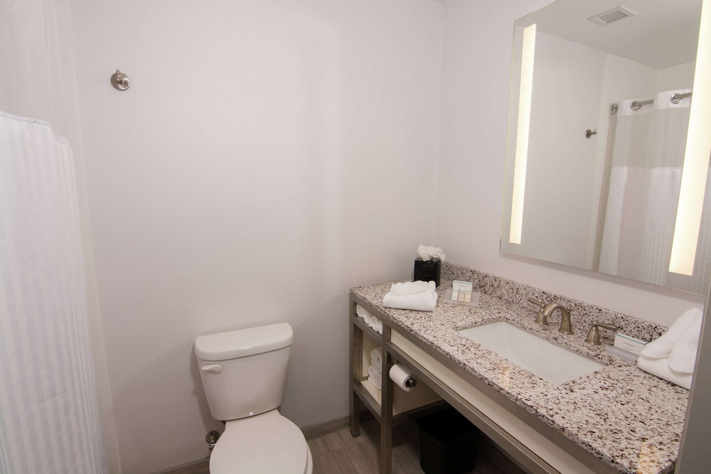 Hilton Garden Inn Tampa Suncoast Parkway - photo 43