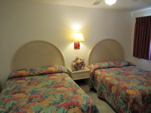 Apollo Resort Motel - photo 11