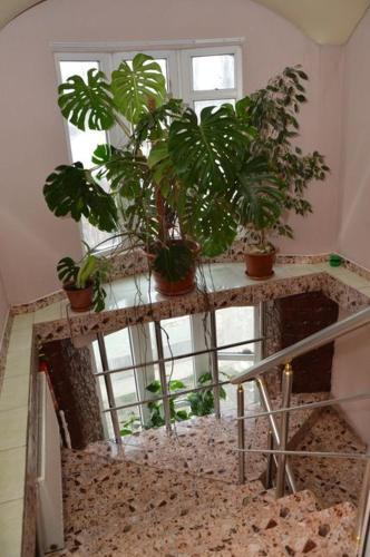 Villa de Nord — Soroca — photo 5