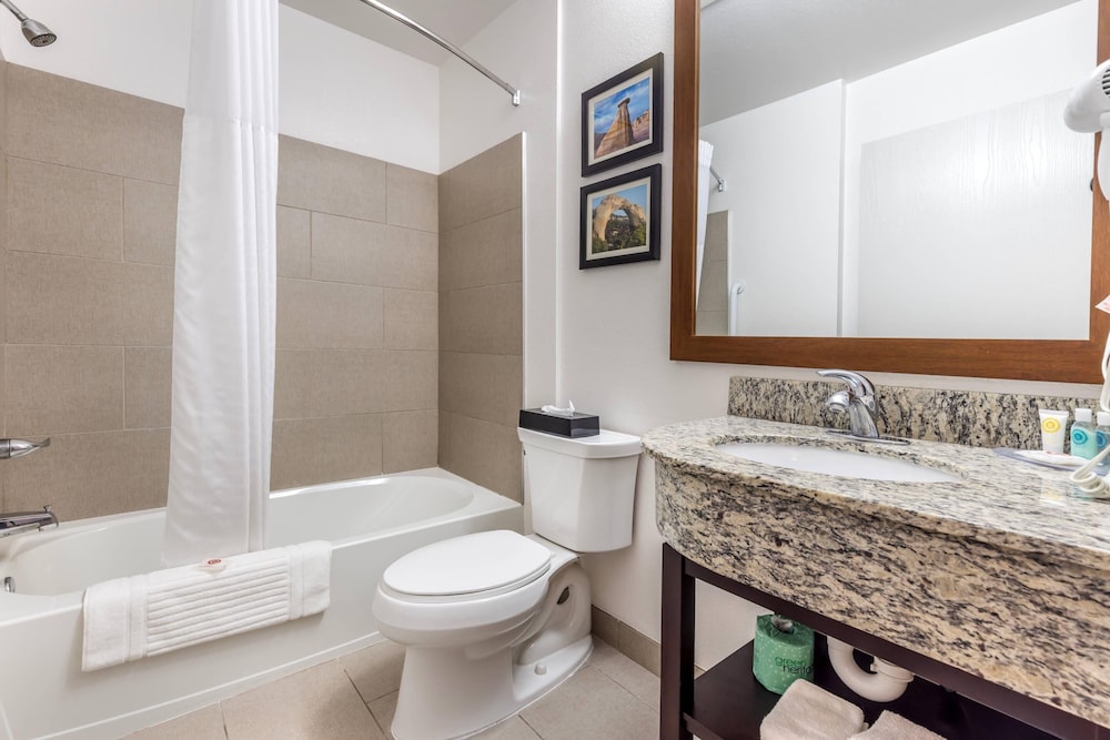 Comfort Inn & Suites Aztec Farmington Area - photo 13