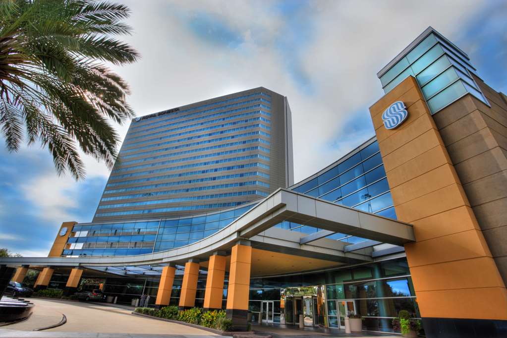 The Royal Sonesta Houston Galleria - photo 9