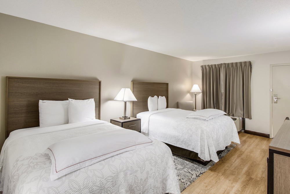Red Roof Inn PLUS Dallas Addison - photo 9