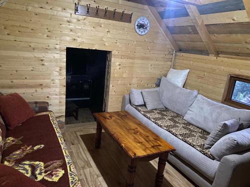 Vikendica Koliba Nisavic — Bijelo Polje — photo 4