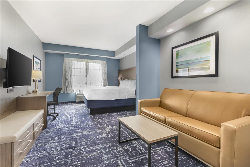 Best Western Plus Fort Worth Forest Hill Inn & Suites - photo 9