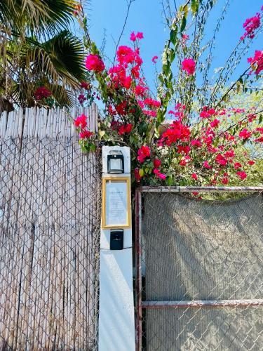 Casa Kante — 4-Star Luxury Hotel in San Jose Del Cabo, Mexico