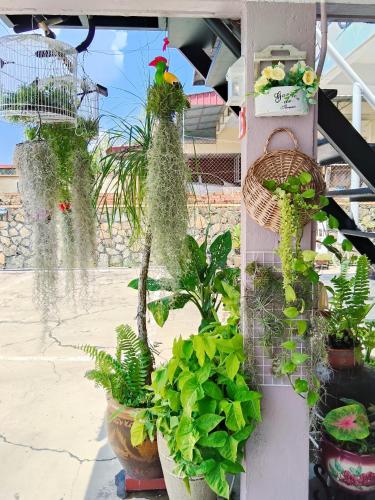 阳台民宿 16 Terrace in Kluang, Malaysia