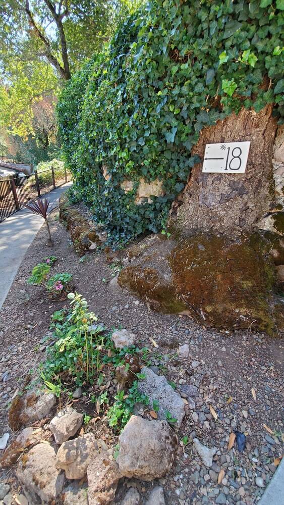 Clear Lake Vista Resort - photo 39