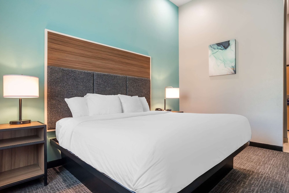 Comfort Inn Miramar Beach Destin - photo 16