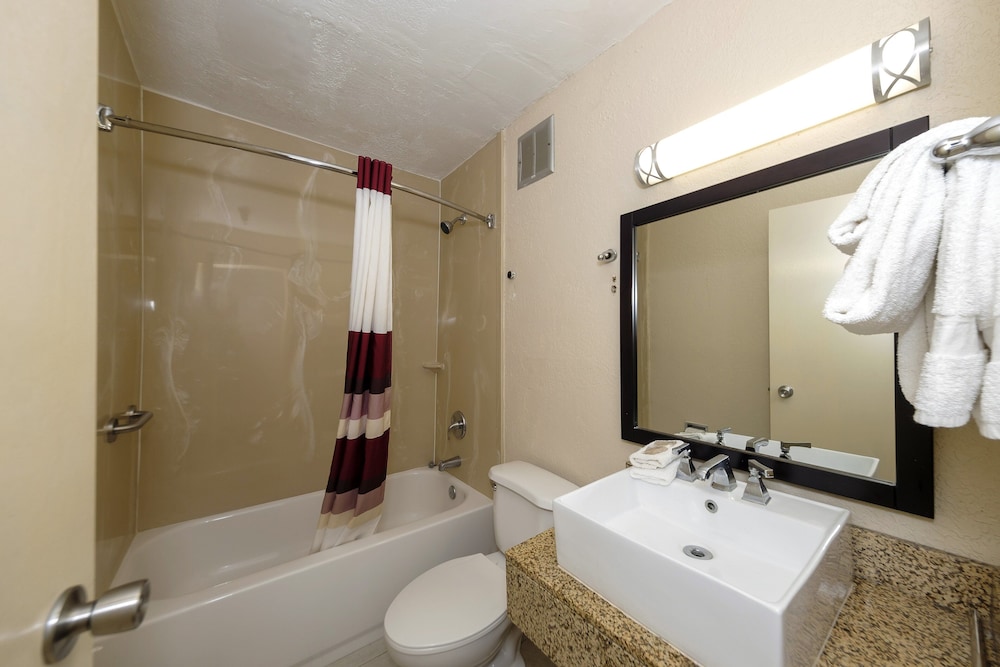 Red Roof Inn Jacksonville Cruise Port - photo 26