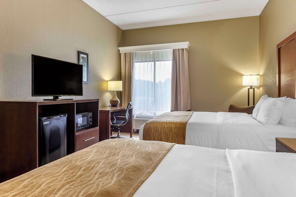 Comfort Inn & Suites Mocksville I 40 - photo 11