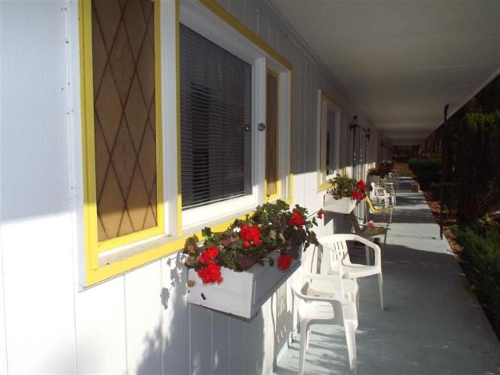 White Oak Motel & Cottages - photo 4
