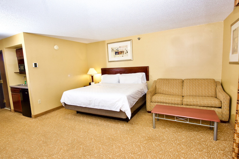Holiday Inn Express & Suites St. Louis West Fenton by IHG - photo 33