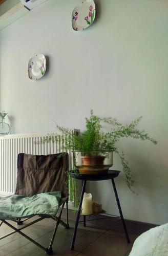 View Apartment