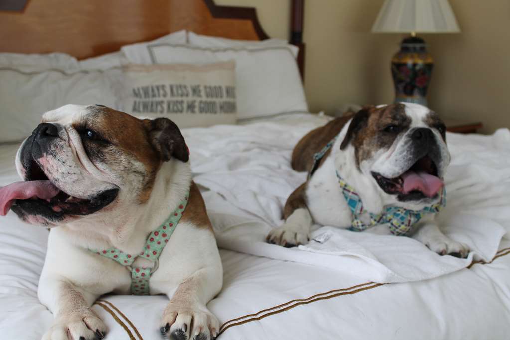 Hotel Providence Trademark Collection by Wyndham - photo 2